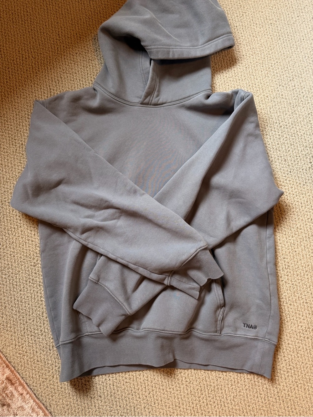 Aritzia TNA hoodie